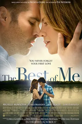 最好的我 The Best of Me(2014)