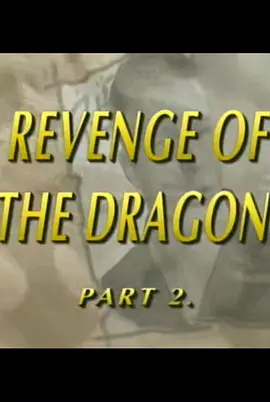 龙之复仇 DRAGON(2002)